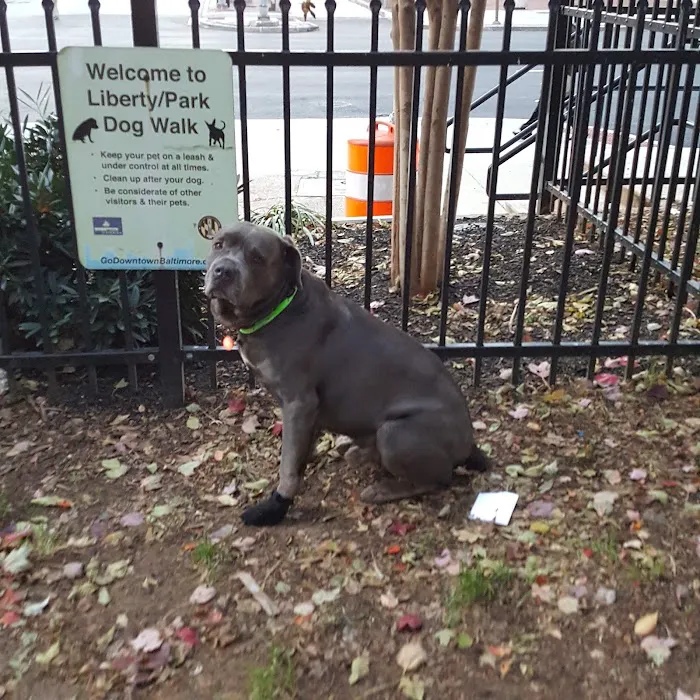 Liberty Dog Park 7