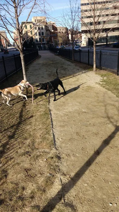 Liberty Dog Park 6