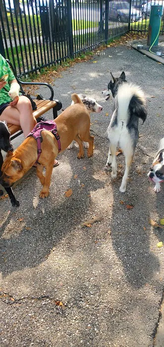 Latrobe Dog Park 1