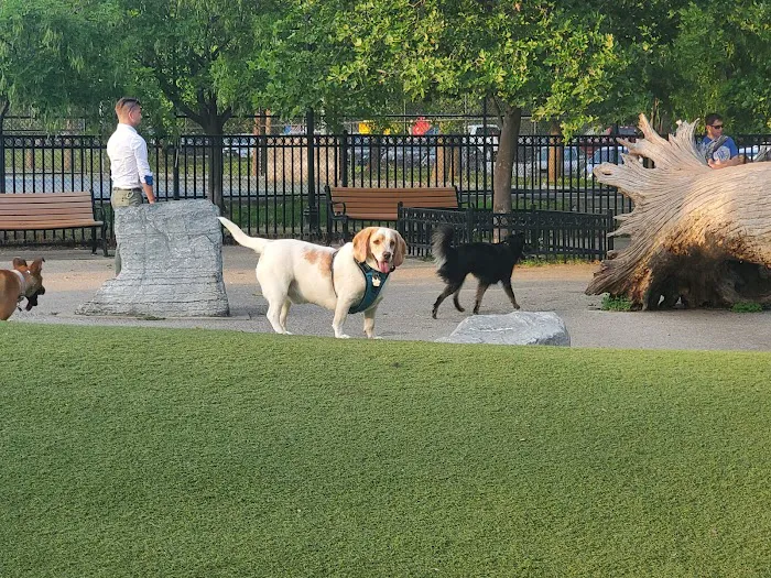 Latrobe Dog Park 4