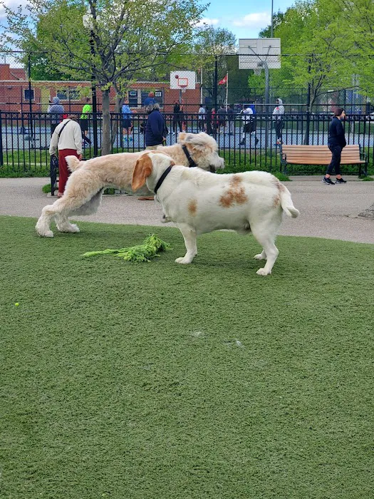 Latrobe Dog Park 7