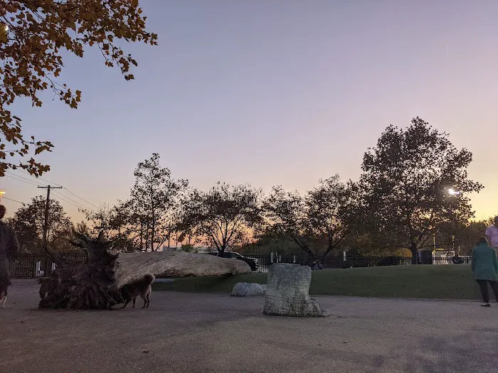 Latrobe Dog Park 2