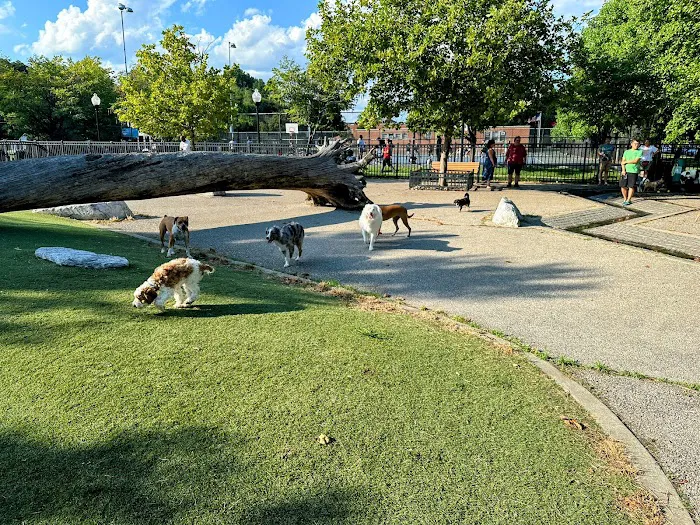 Latrobe Dog Park 10