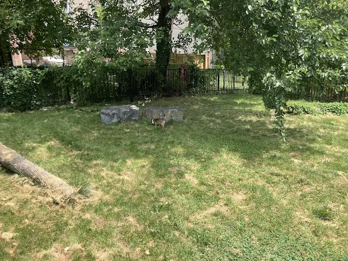CenterWest Community Dog Park 2