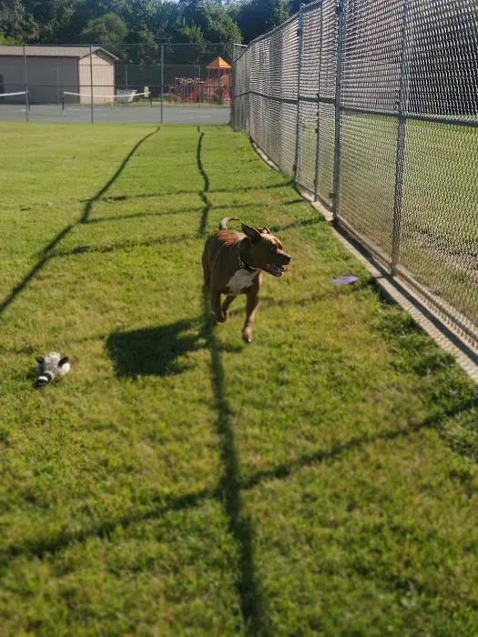 Dog Park at Southwest Area Park 1