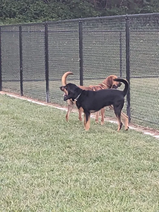 Overlook Dog Park 9