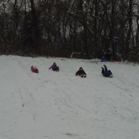 Overlook Dog Park ico