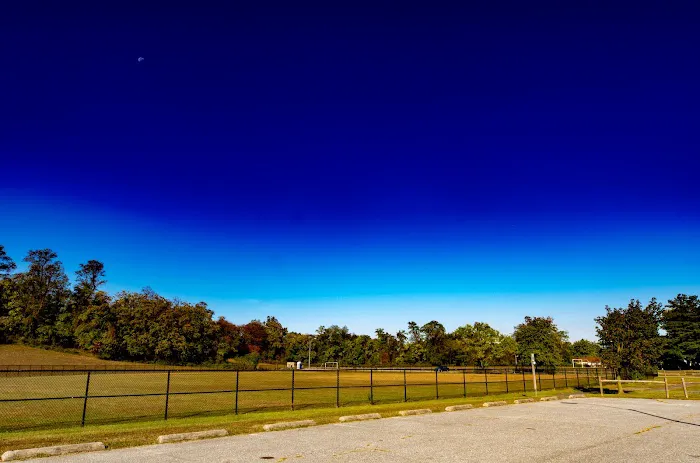 Overlook Dog Park 6
