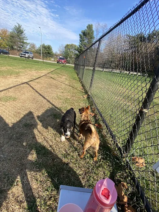 Overlook Dog Park 3