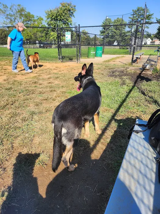 Overlook Dog Park 2