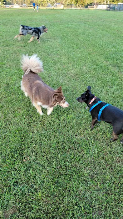 Overlook Dog Park 10