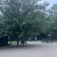 “Paws” Dog Park ico