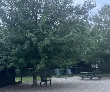 “Paws” Dog Park