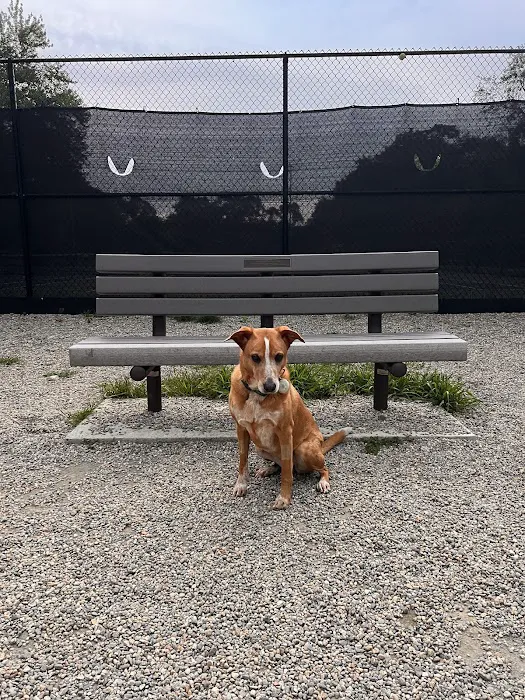 “Paws” Dog Park 2