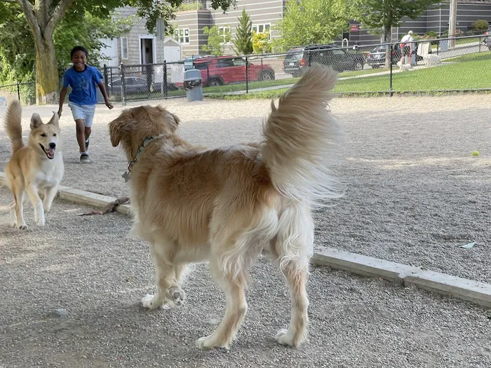 How Park Off - Leash Area 4