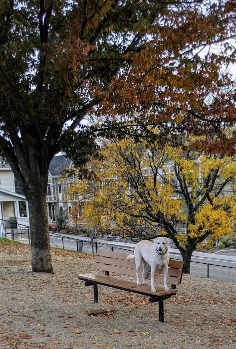 How Park Off - Leash Area 1