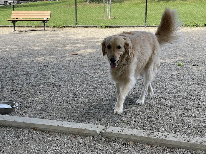 How Park Off - Leash Area 6