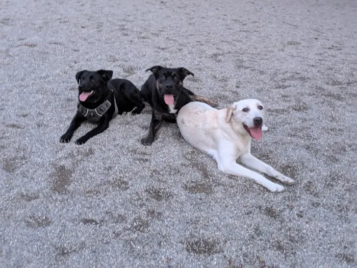 How Park Off - Leash Area 9