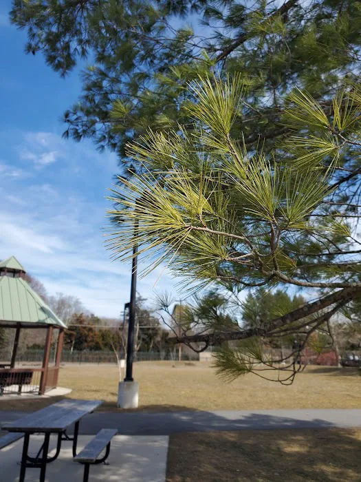 Filippello Dog Park 3