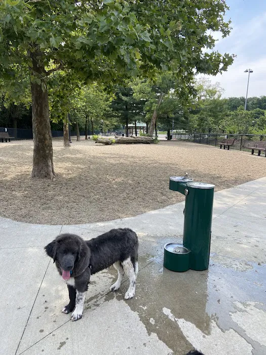 Filippello Dog Park 9