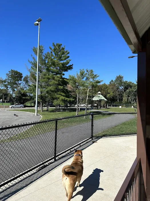 Filippello Dog Park 5
