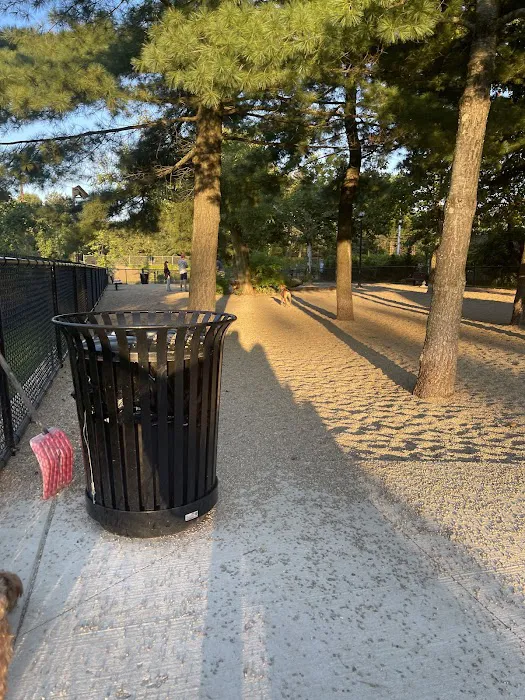 Filippello Dog Park 10