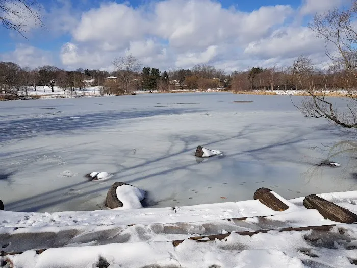 Little Fresh Pond Dog Beach 8
