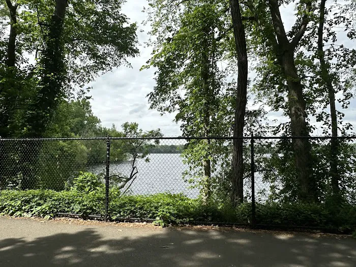 Little Fresh Pond Dog Beach 10