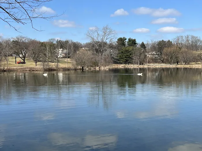Little Fresh Pond Dog Beach 9