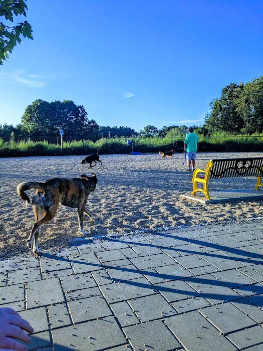 Billerica Dog Park 8