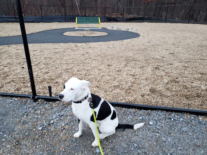 Billerica Dog Park 3