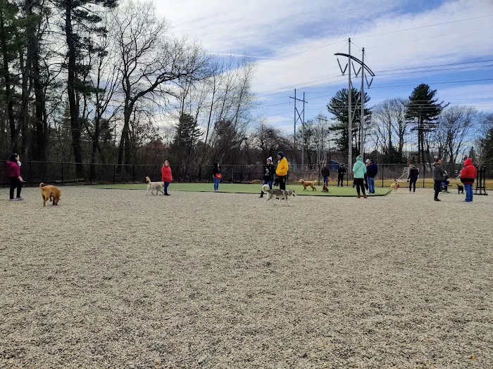 Burlington Dog Park at Rahanis Park 8