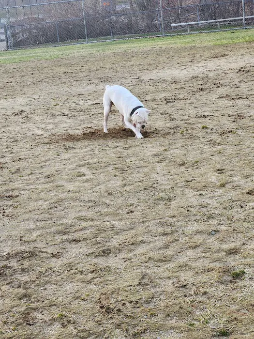 Burlington Dog Park at Rahanis Park 7