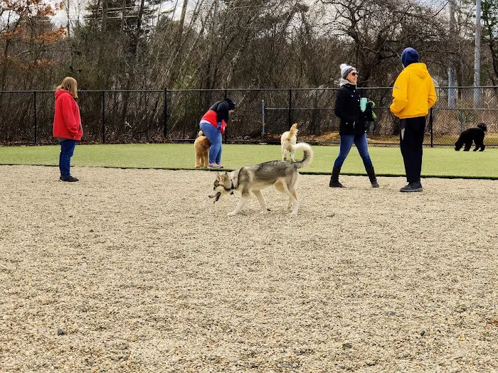 Burlington Dog Park at Rahanis Park 9