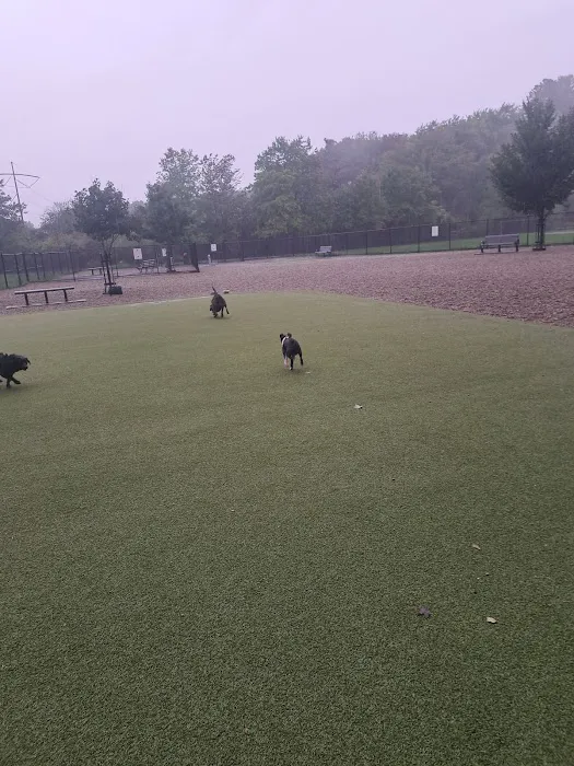 Burlington Dog Park at Rahanis Park 1