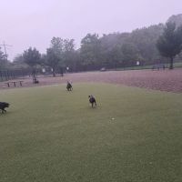 Burlington Dog Park at Rahanis Park ico