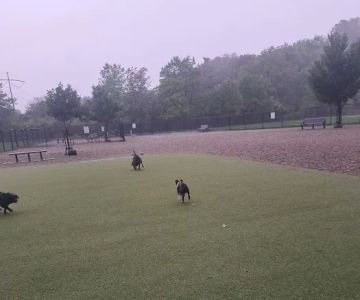 Burlington Dog Park at Rahanis Park
