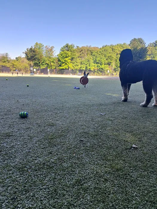 Burlington Dog Park at Rahanis Park 10