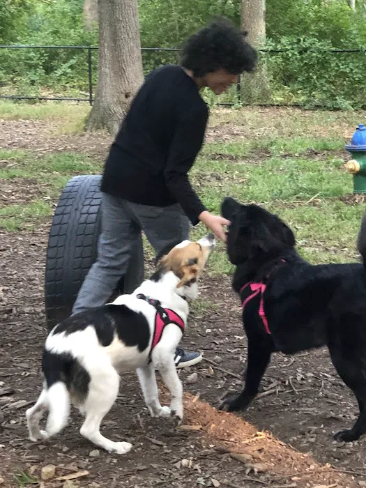Randolph Dog Park 3
