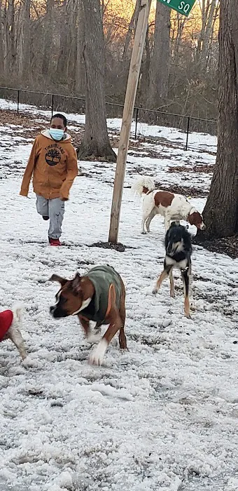 Randolph Dog Park 6