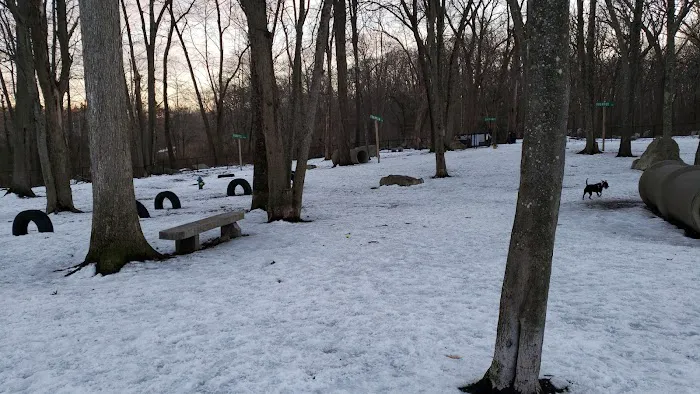 Randolph Dog Park 9