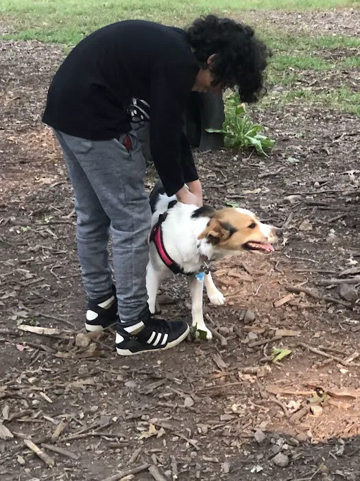 Randolph Dog Park 8
