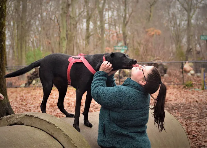 Randolph Dog Park 10