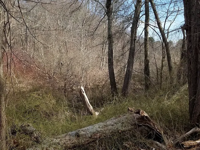 Goldstein Open Space 4