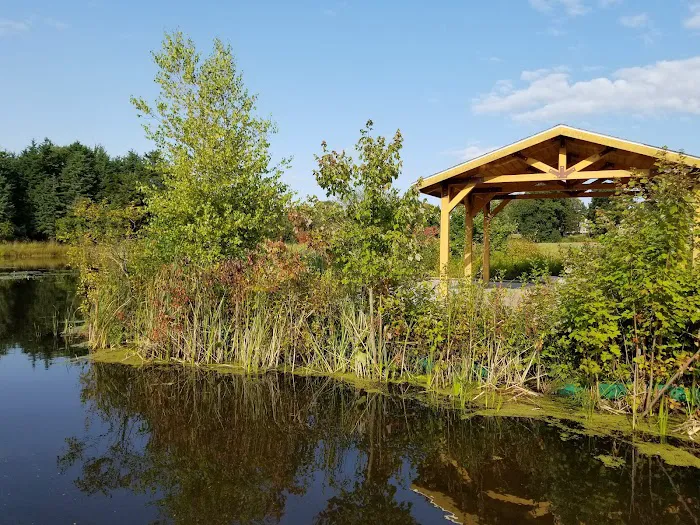 Goldstein Open Space 9