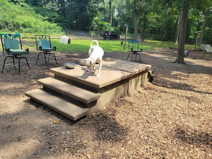 Goldstein Open Space 6