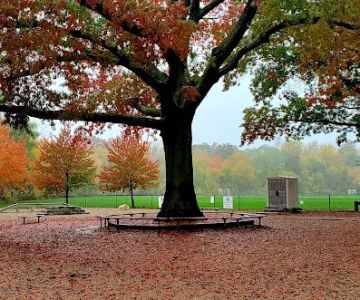 Thorndike Dog Park
