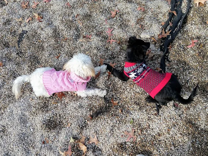 Thorndike Dog Park 2