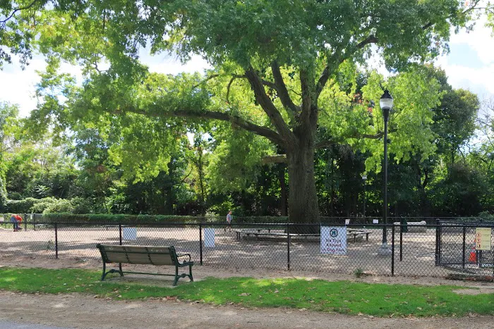 Thorndike Dog Park 7