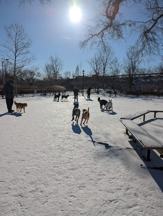 Thorndike Dog Park 8
